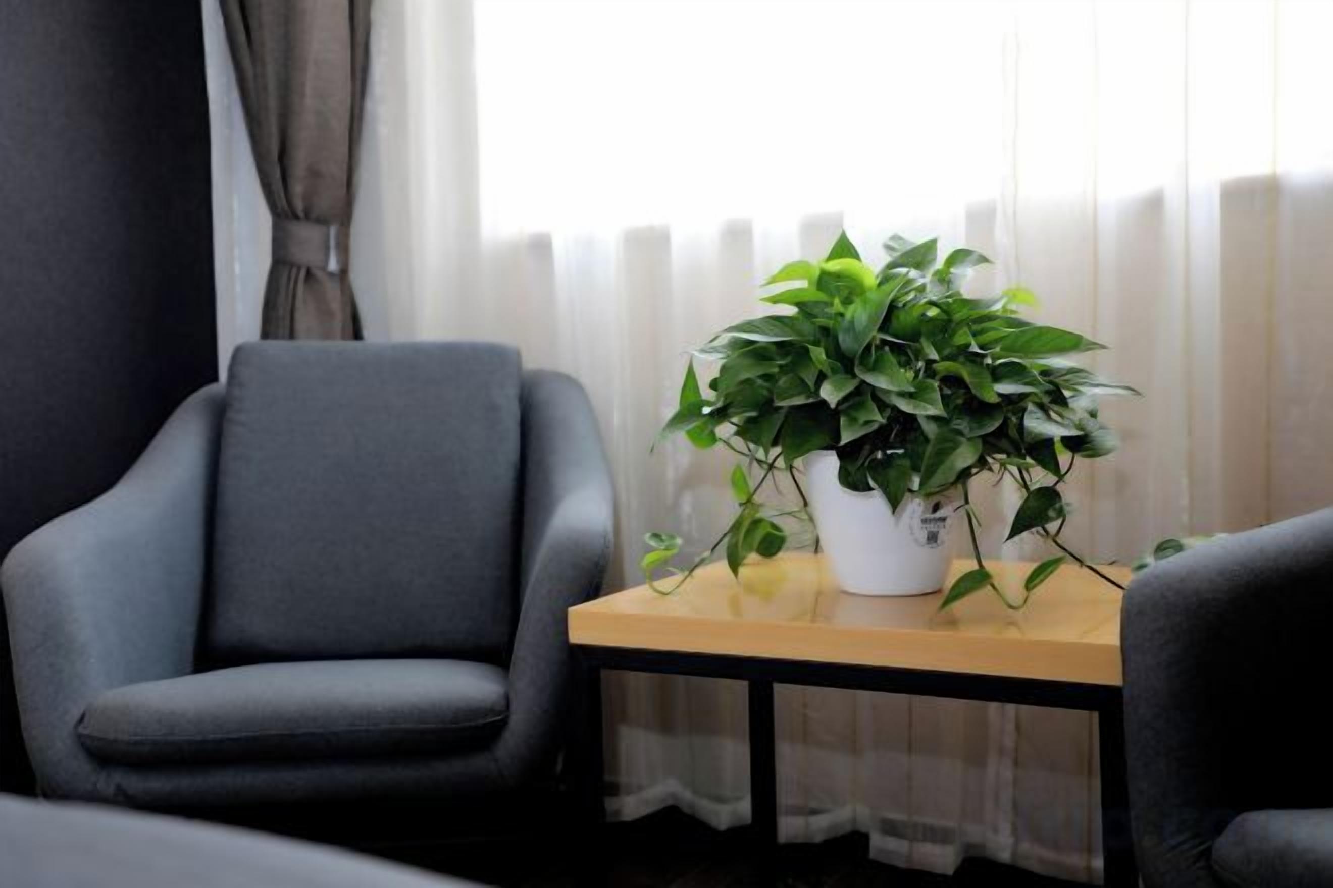 A room with a grey armchair, a small wooden table with a potted plant, and a window with sheer curtains.