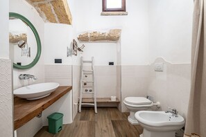 Shower, hair dryer, bidet, towels