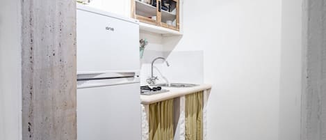 Fridge, stovetop, cookware/dishes/utensils