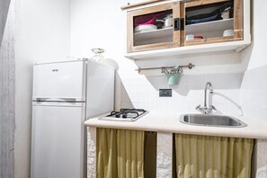 Fridge, stovetop, cookware/dishes/utensils