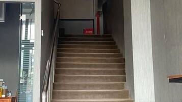 A carpeted staircase with a handrail, leading to an upper floor.