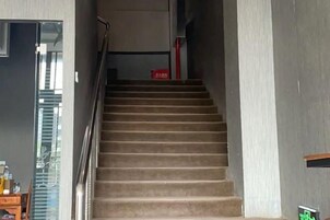A carpeted staircase with a handrail, leading to an upper floor.