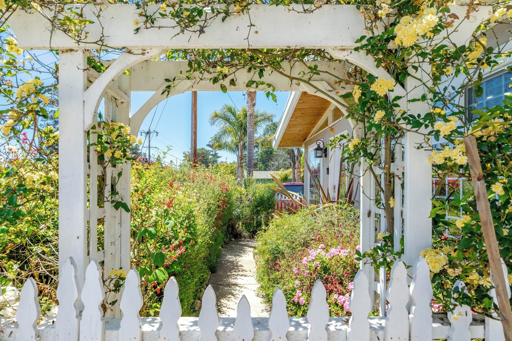 A white wooden archway with climbing plants and flowers, leading to a pathway.