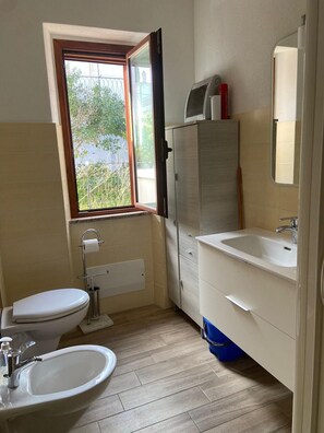 Regadera, secadora de cabello, bidet, toallas 