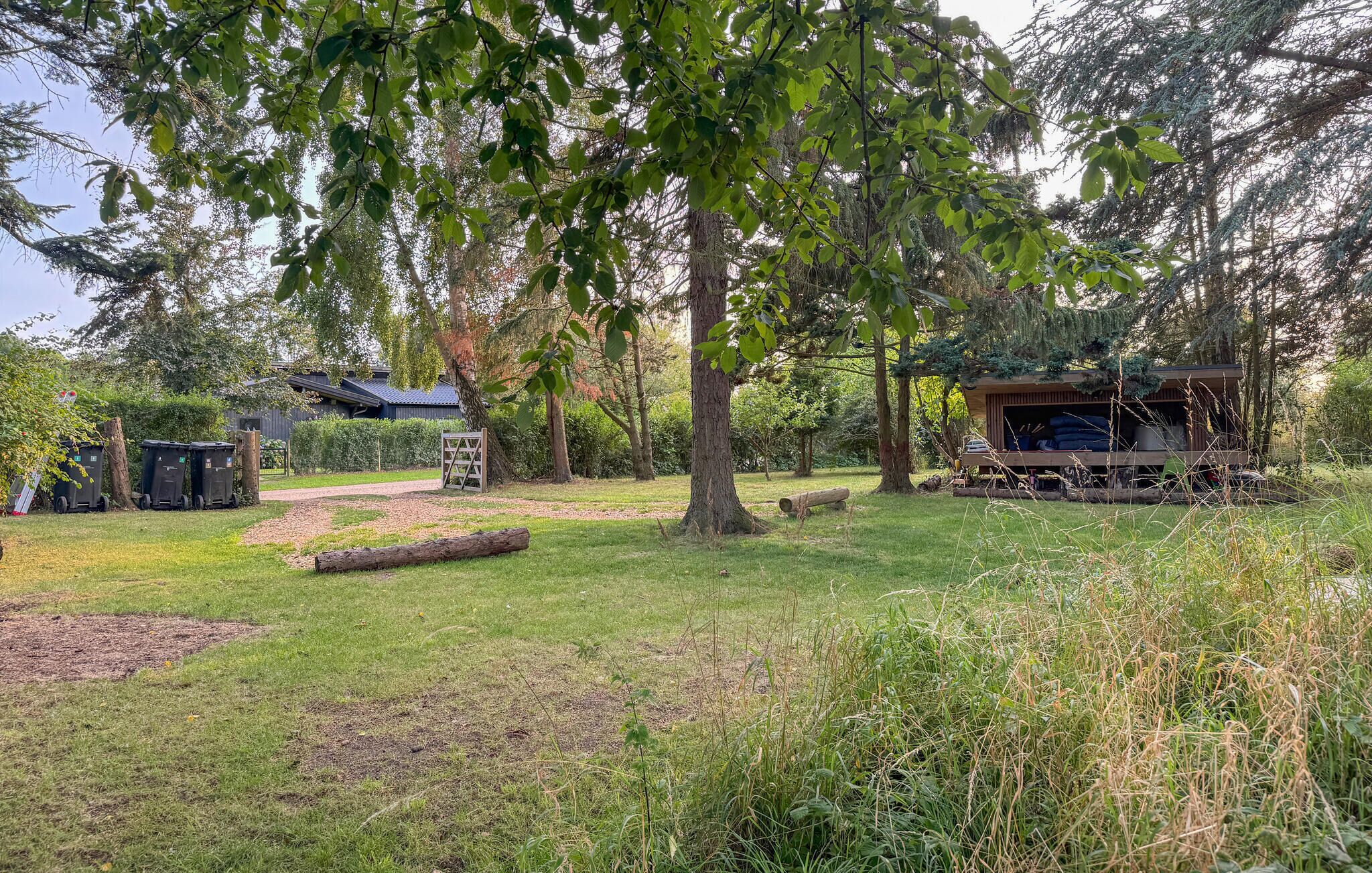 A rustic outdoor area with a wooden structure, possibly a cabin or shed, surrounded by trees and greenery.