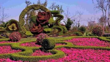 Jardines del alojamiento