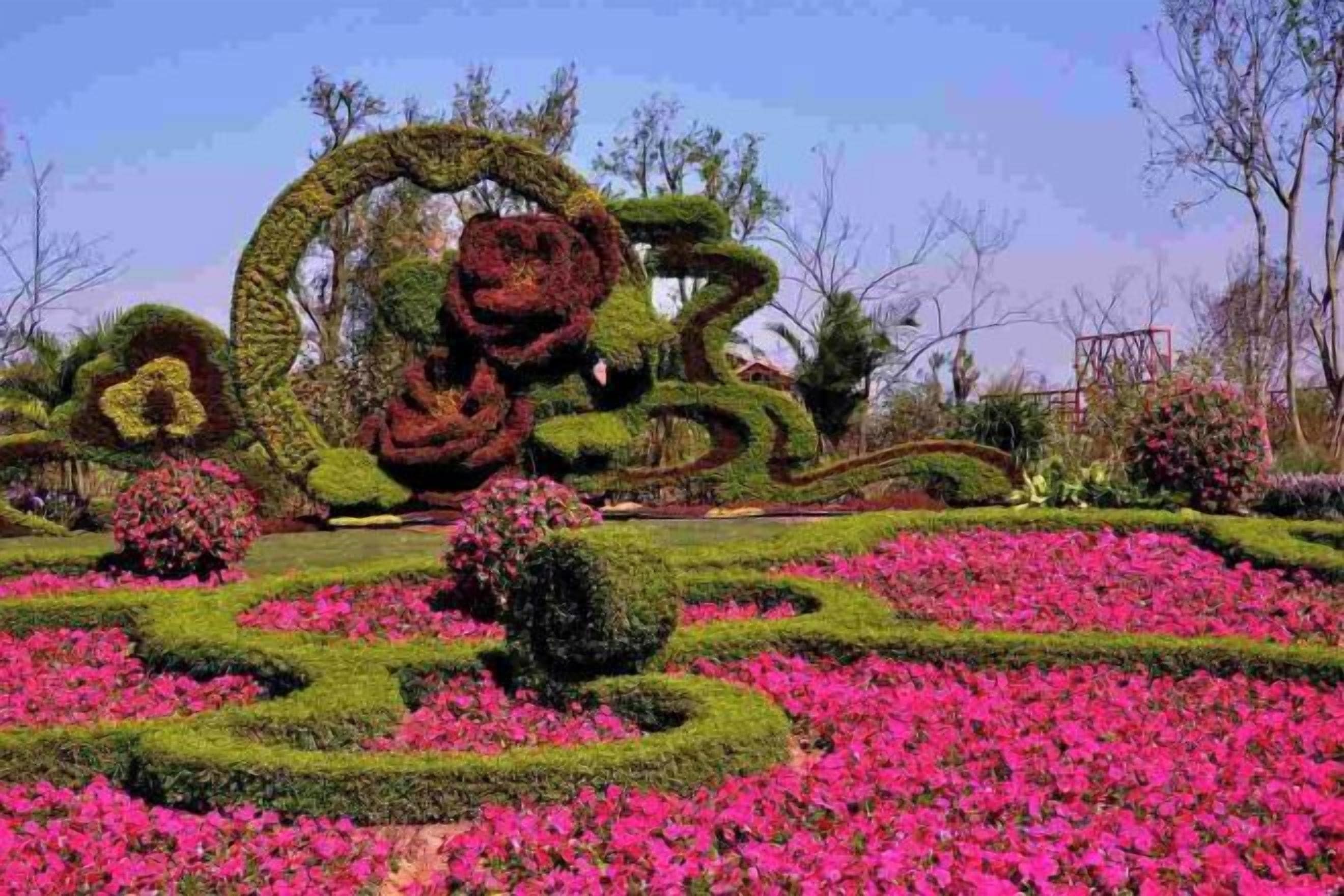 Jardí meticulosament paisatjat amb tàpies geomètriques i flors rosades vibrants.