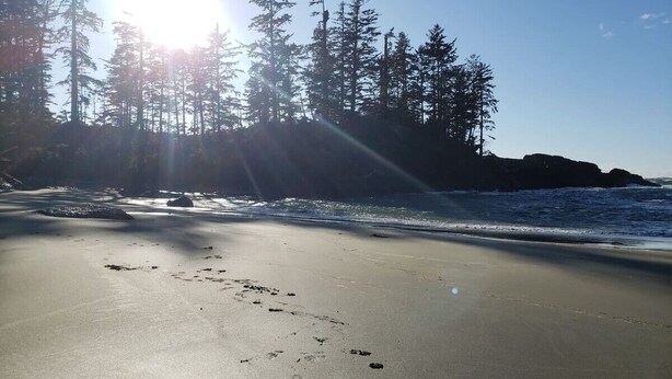 A beach with footprints, trees, and a clear sky. - Timbers by Evergreen Forest Cabins (Ucluelet)