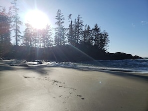 Beach nearby - Timbers by Evergreen Forest Cabins (Ucluelet)