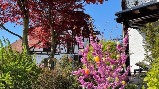 Ein Garten mit verschiedenen Pflanzen und Bäumen, ein weißes Gebäude mit dunklem Dach und ein klarer, blauer Himmel.