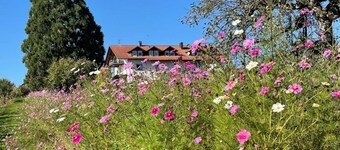 Apartment 'Bergchalet Mirabell - Fewo Weitblick' with Mountain View at the lake constance