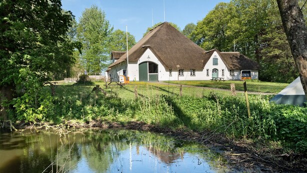 Une maison traditionnelle avec un toit de chaume, un étang au premier plan et une table de pique-nique à proximité.