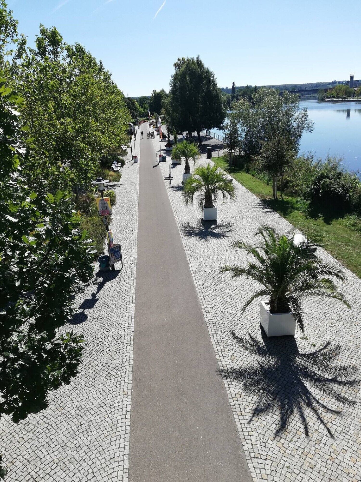Un sendero pavimentado bordeado de árboles y plantas en macetas, que conduce hacia una masa de agua.