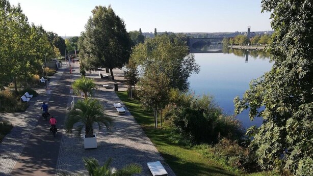 A riverside walkway with benches, palm trees, and a calm water body. - Holiday Apartment 'Gartenland Gela' with Private Terrace, Shared Garden and Wi-Fi (Kitzingen)