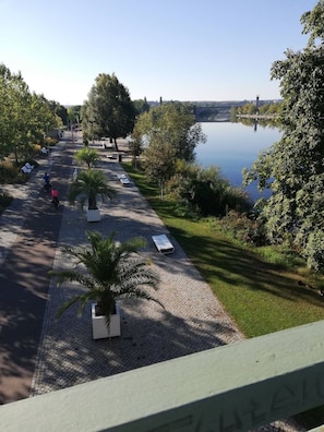 Une promenade au bord de la rivière, agrémentée de bancs, de palmiers et d’une étendue d’eau paisible.