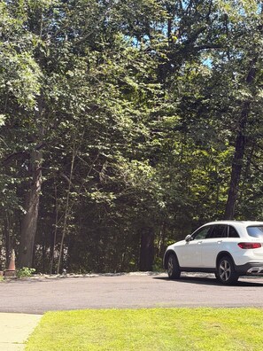 A white car parked on a paved road with a grassy area in the foreground and dense trees in the background.