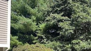 A residential garden with a well-maintained lawn, a stone retaining wall, and a variety of trees and shrubs. - Cozy, comfy,quiet &close to casinos (Montville)