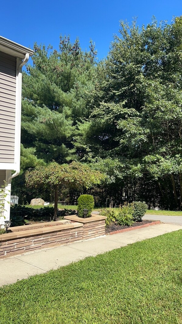 Un jardin résidentiel doté d’une pelouse bien entretenue, d’un mur de soutènement en pierre et d’une variété d’arbres et d’arbustes.