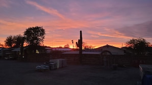 Een zonsondergang boven een woongebied, met een cactus op de voorgrond, een bakstenen muur en een gebouw met een plat dak.