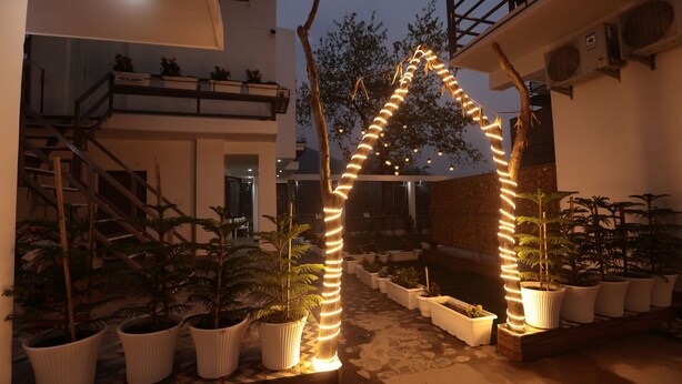 Un patio con plantas en macetas dispuestas en filas, una escalera y un arco decorativo con luces de cadena.
