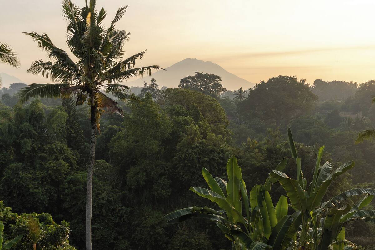 An infinity pool with lounge chairs, surrounded by tropical vegetation and a mountain backdrop.