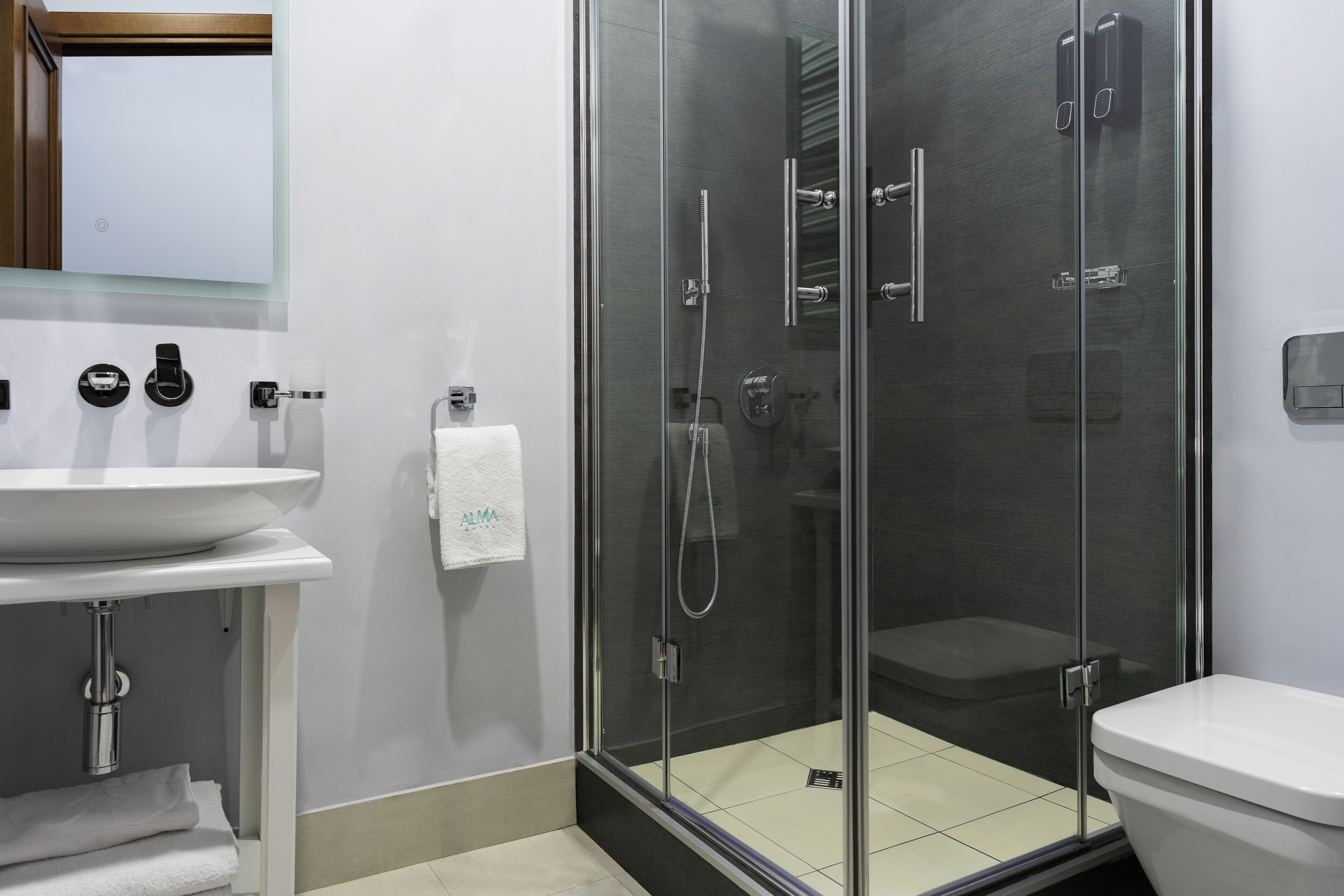 A modern bathroom with a glass-enclosed shower, a white sink, and a toilet.
