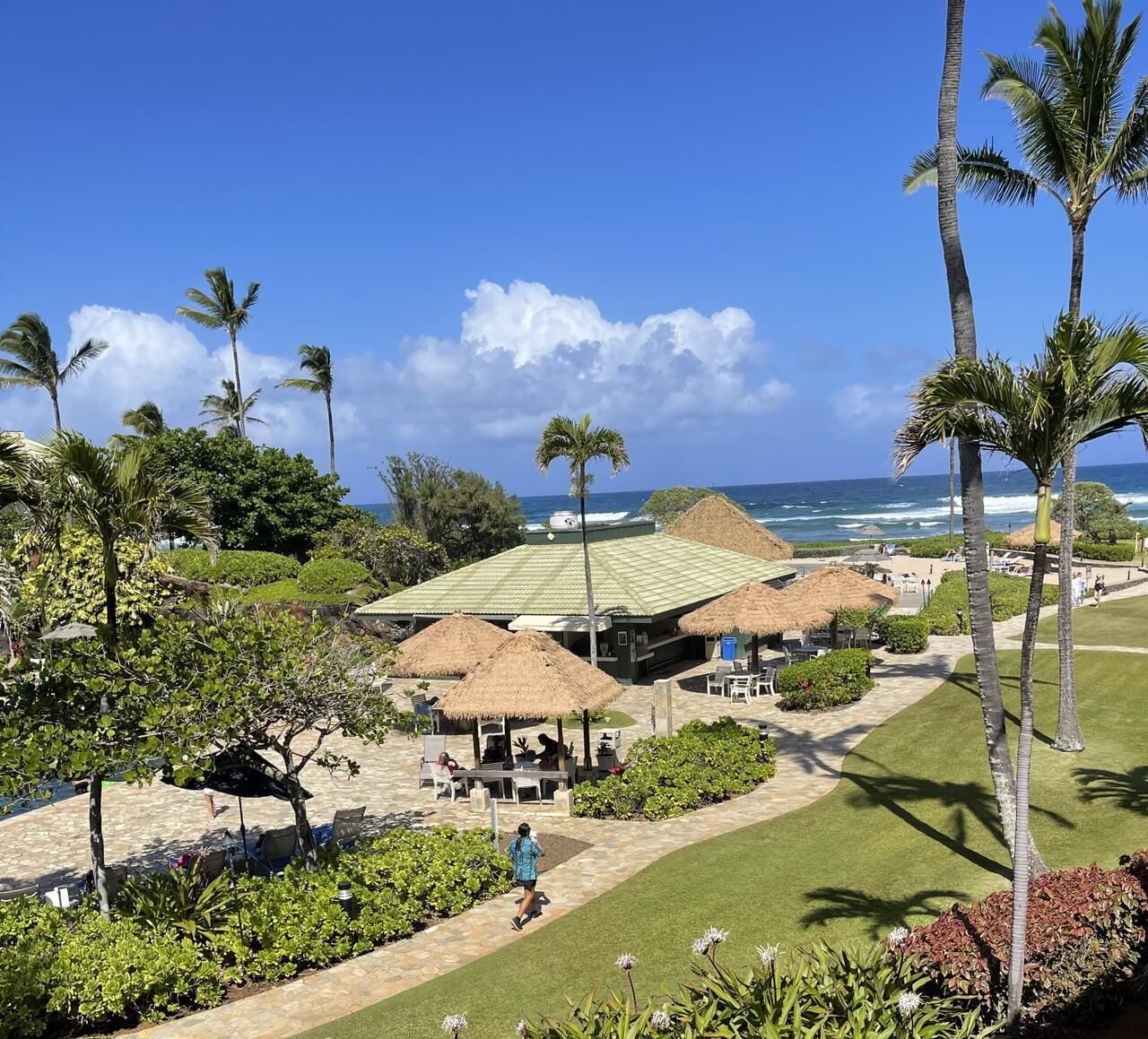 Ein Resort mit strohgedeckten Gebäuden, einer Rasenfläche und Palmen.