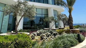 Un edificio moderno de varios pisos con fachada curva, ventanas amplias y un jardín ajardinado con diversas plantas y una palmera.