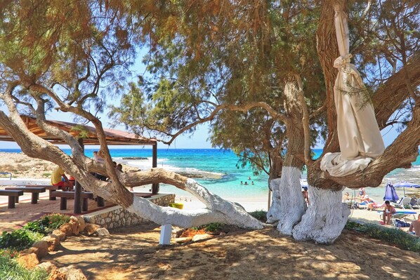 A beach scene with a wooden structure, benches, and a hammock.