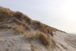 Une plage de sable avec des dunes et quelques touffes d’herbe clairsemées.