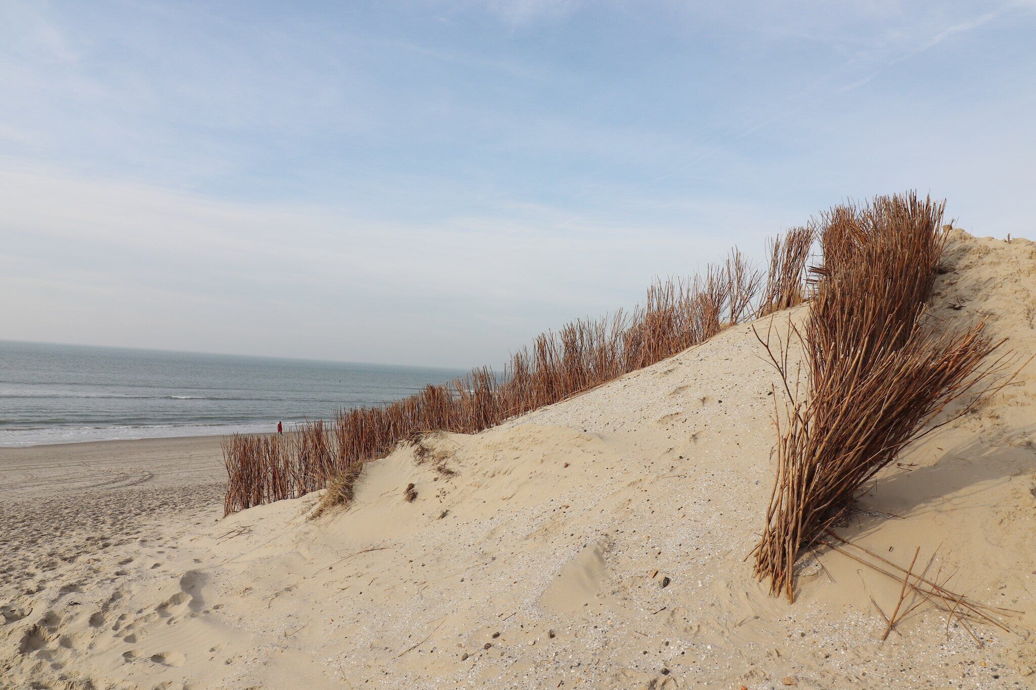 Ein Sandstrand mit vereinzelter Vegetation und blauem Himmel.