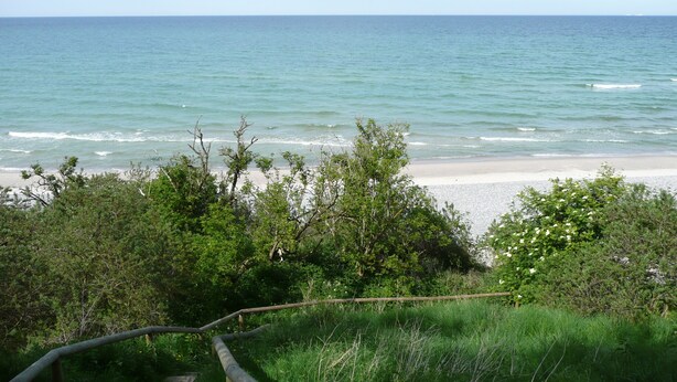 Une vue côtière avec une plage, de la végétation et un sentier en bois menant à la rive.