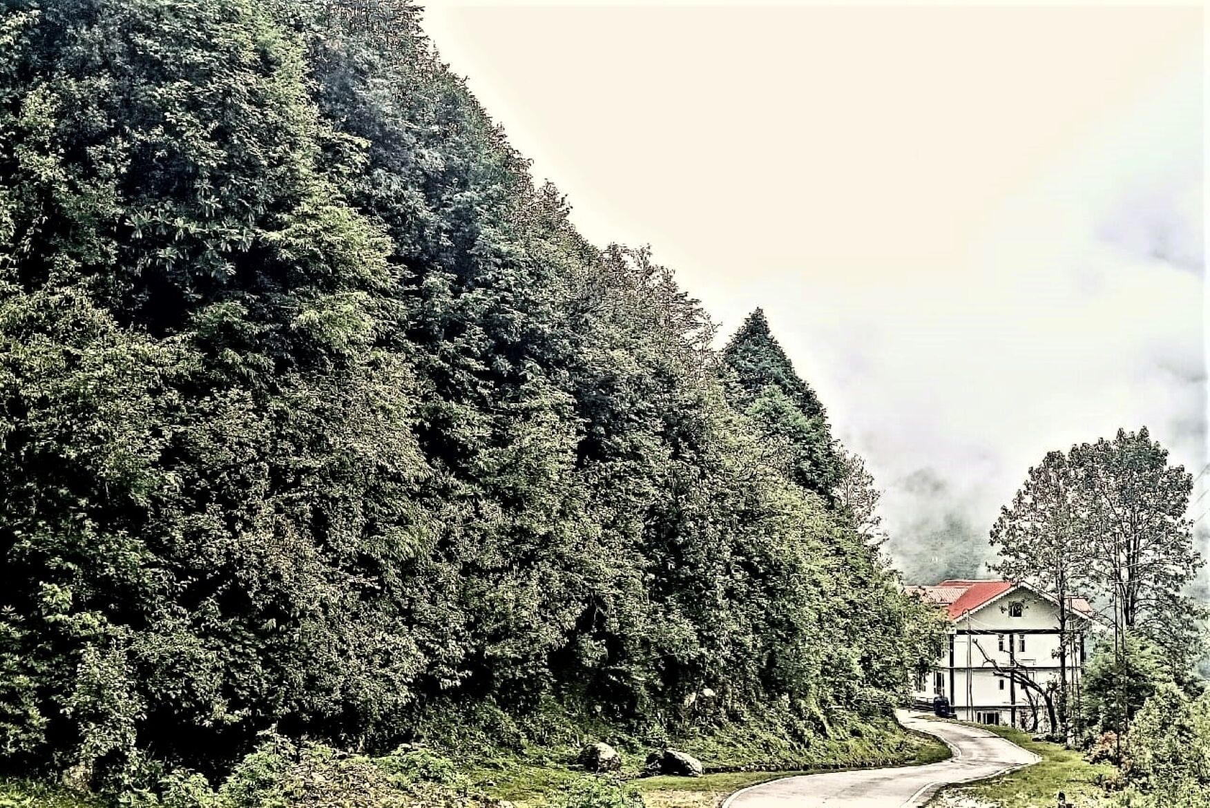 Eksteriør