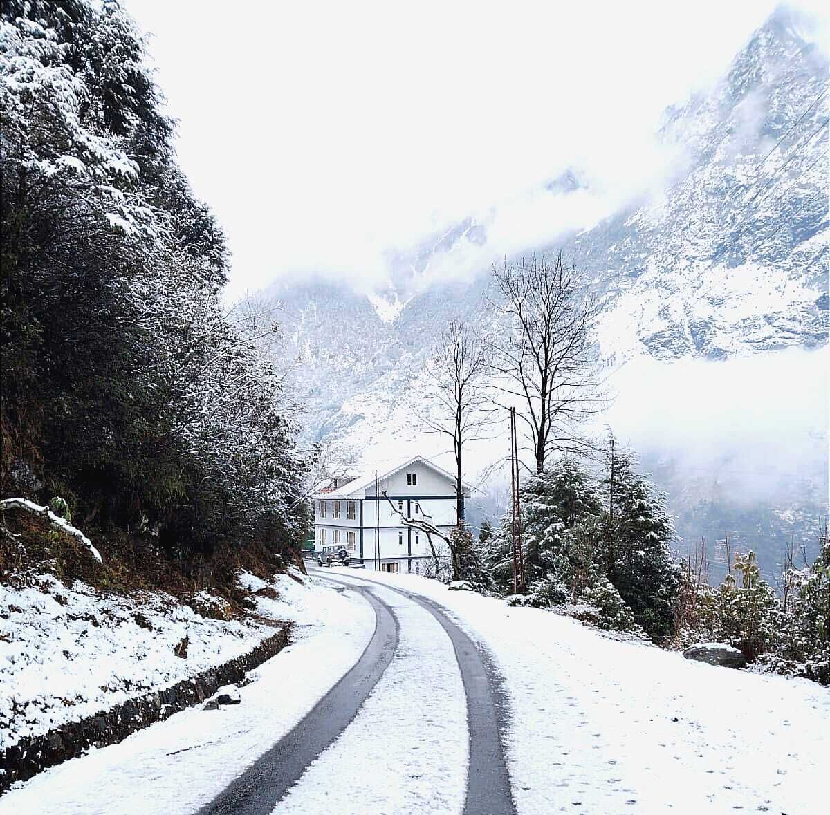 A snow-covered road leading to a house with a white facade and dark trim, surrounded by snow-laden trees and mountains.