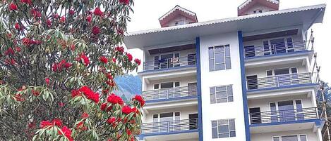 A multi-story hotel with balconies and a tree with red flowers in the foreground.