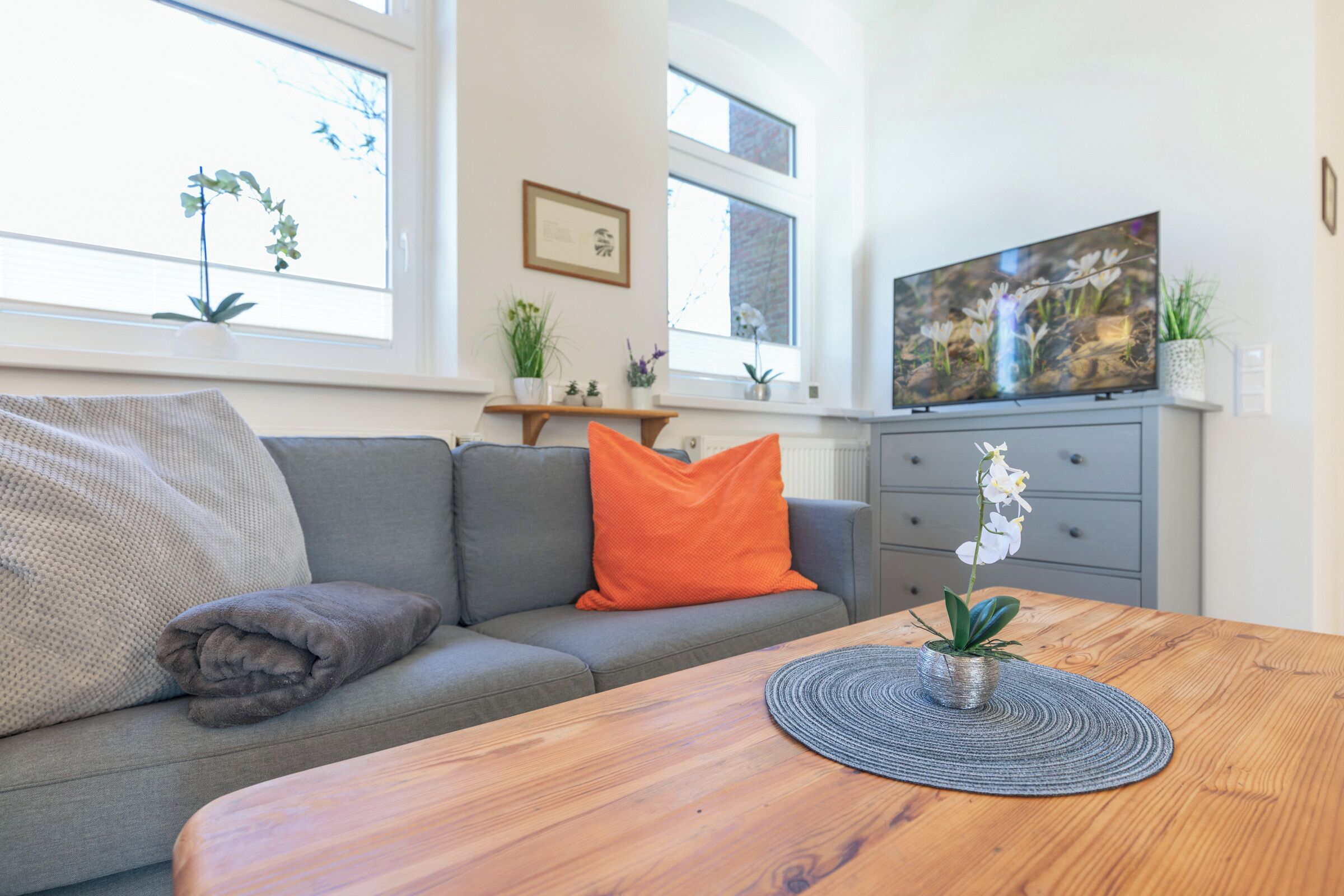 TV, bøker og stereoanlegg