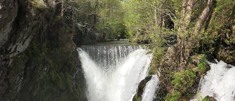 A waterfall surrounded by lush greenery and rocky terrain.
