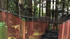 Un puente colgante con barandillas de red y un tapete verde en la base.