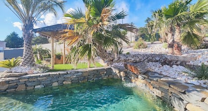 Luxurious home in Villespassans