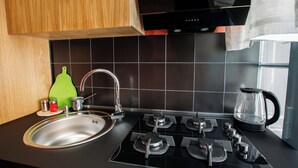 Et moderne køkken med stålvask, gasblus og elkedel.