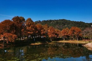Unclassified image, 2 of 7, button - Putuo mountain pilgrimage inn (Zhoushan)