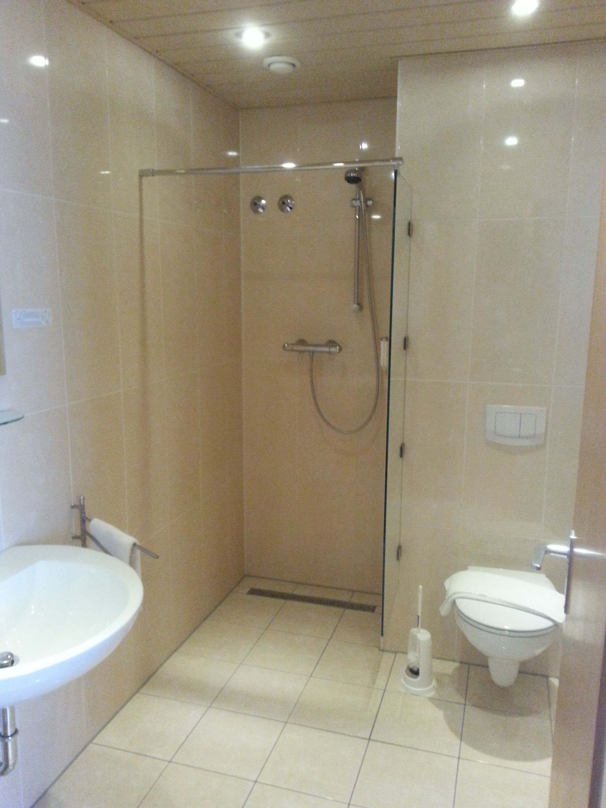 Une salle de bain avec douche, toilettes et lavabo.
