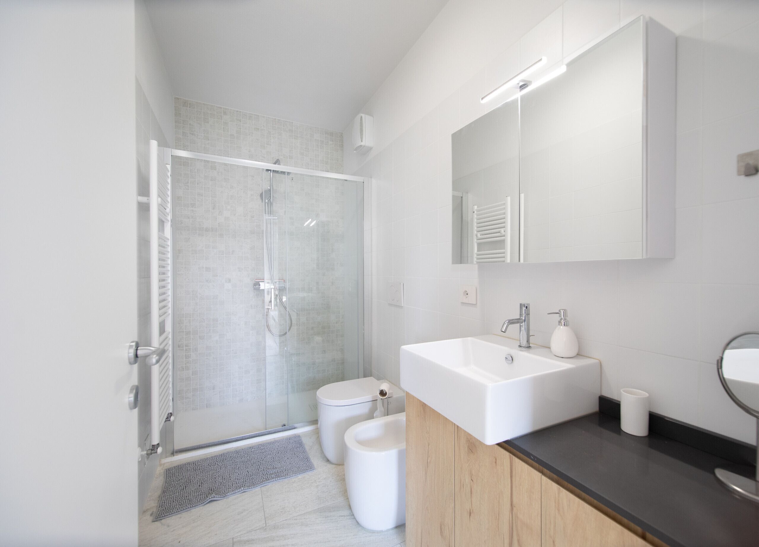 Shower, hair dryer, bidet, towels