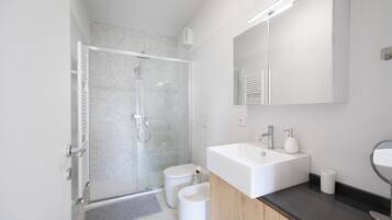 Shower, hair dryer, bidet, towels