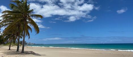 Playa en los alrededores