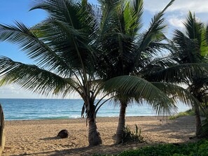 Une plage bordée de palmiers, avec l’océan en toile de fond.