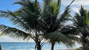 Una playa con palmeras y el océano al fondo.