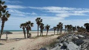 A beach with palm trees and a clear sky. - Casa Richy - El Dorado Ranch Rental (San Felípe)