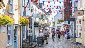 Une ruelle étroite pavée, bordée de bâtiments traditionnels, dont certains sont ornés de jardinières et arborent des enseignes indiquant les commerces locaux.