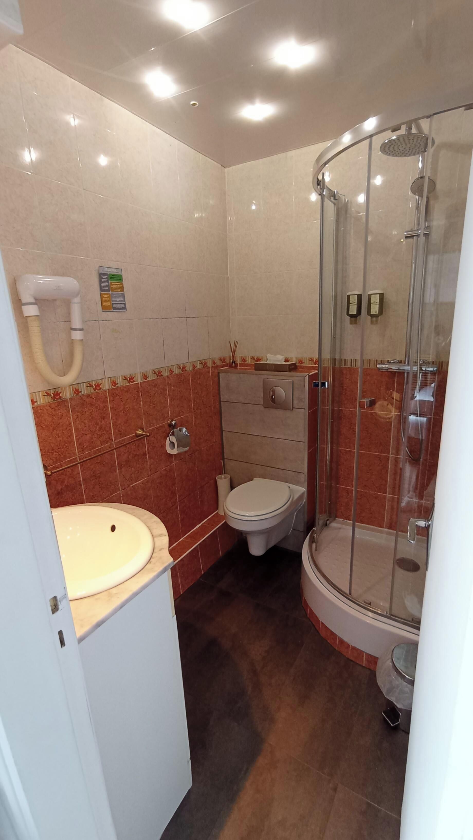 A bathroom with a toilet, sink, and shower.